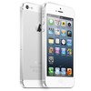 Apple iPhone 5 64Gb white - Дзержинск